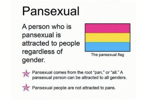 pansexual vs panromantic|Pansexual: Meaning, origins, signs, and myths